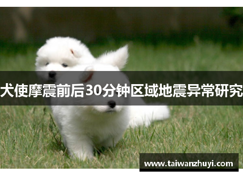 犬使摩震前后30分钟区域地震异常研究