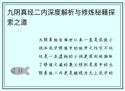 九阴真经二内深度解析与修炼秘籍探索之道